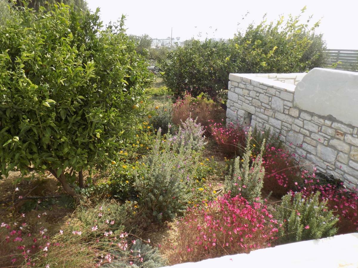 Villa Evilia Marpissa Bagian luar foto